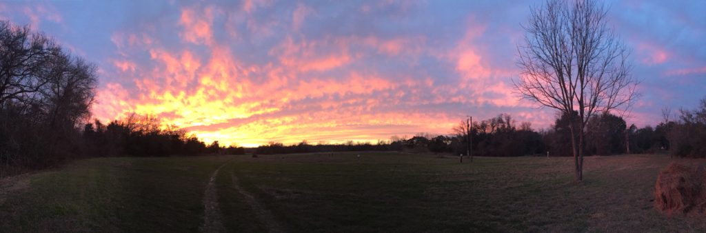 Blue, purple, red, gold sunset over a field with a haybale and trees at Homestead Ross Creek Organic Farm Texas