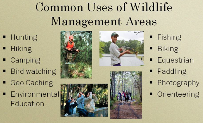 Wildlife Management Plan Uses Ideas